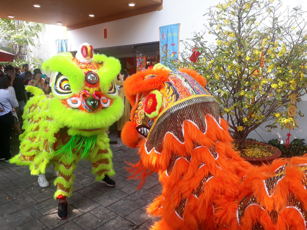 KHAI XUÂN CANH TÝ RỘN RÀNG